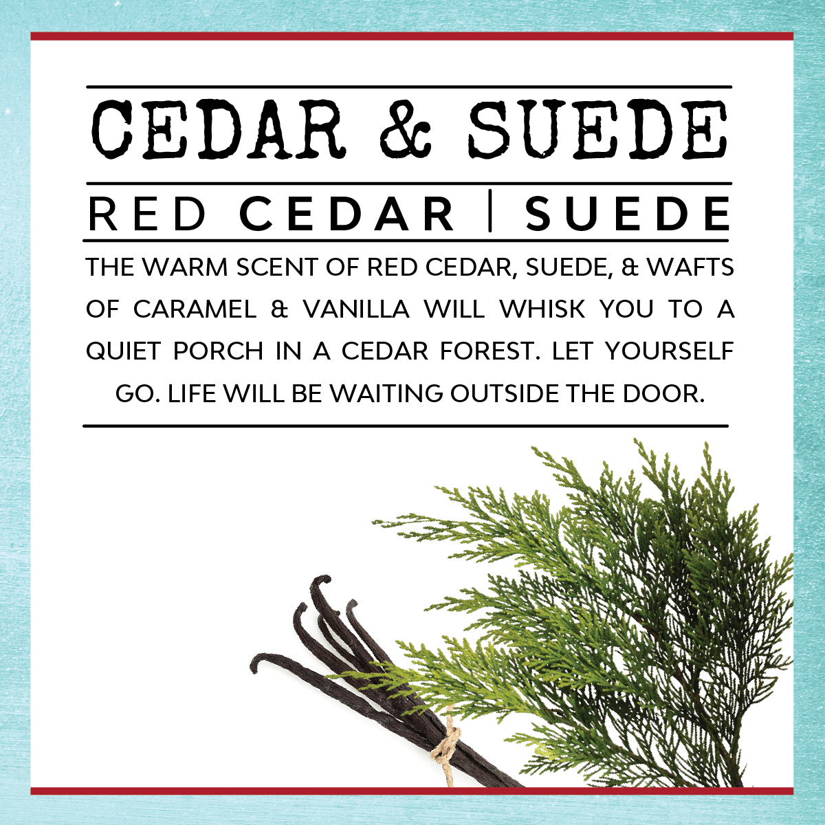 Cedar & Suede