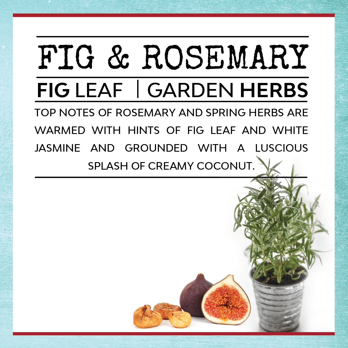 Fig & Rosemary