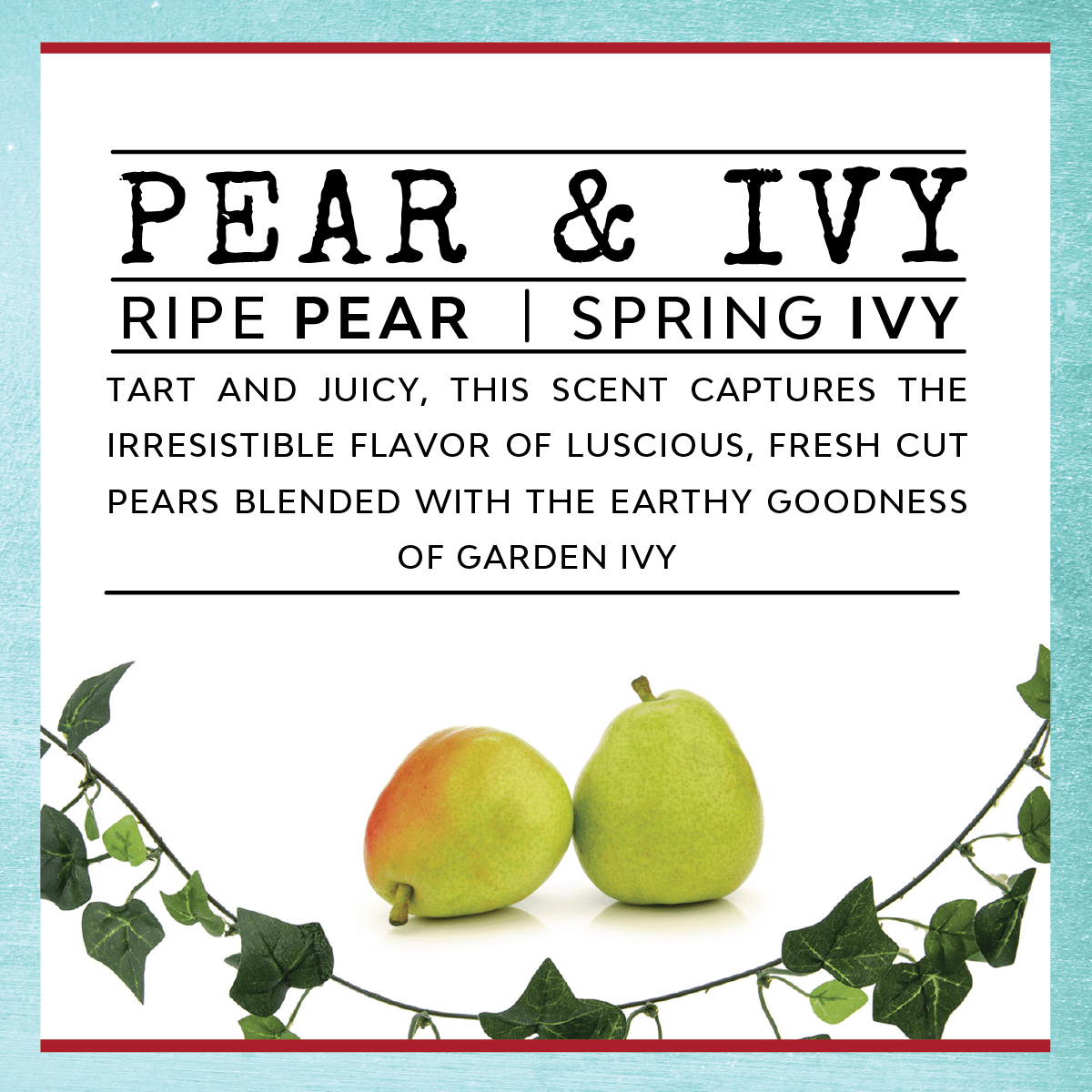 Pear & Ivy